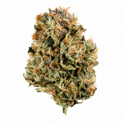 Nova Hemp Sour 98 cannabis flower with dense frosty buds, bright orange pistils, and resin-rich trichomes on a white background.
