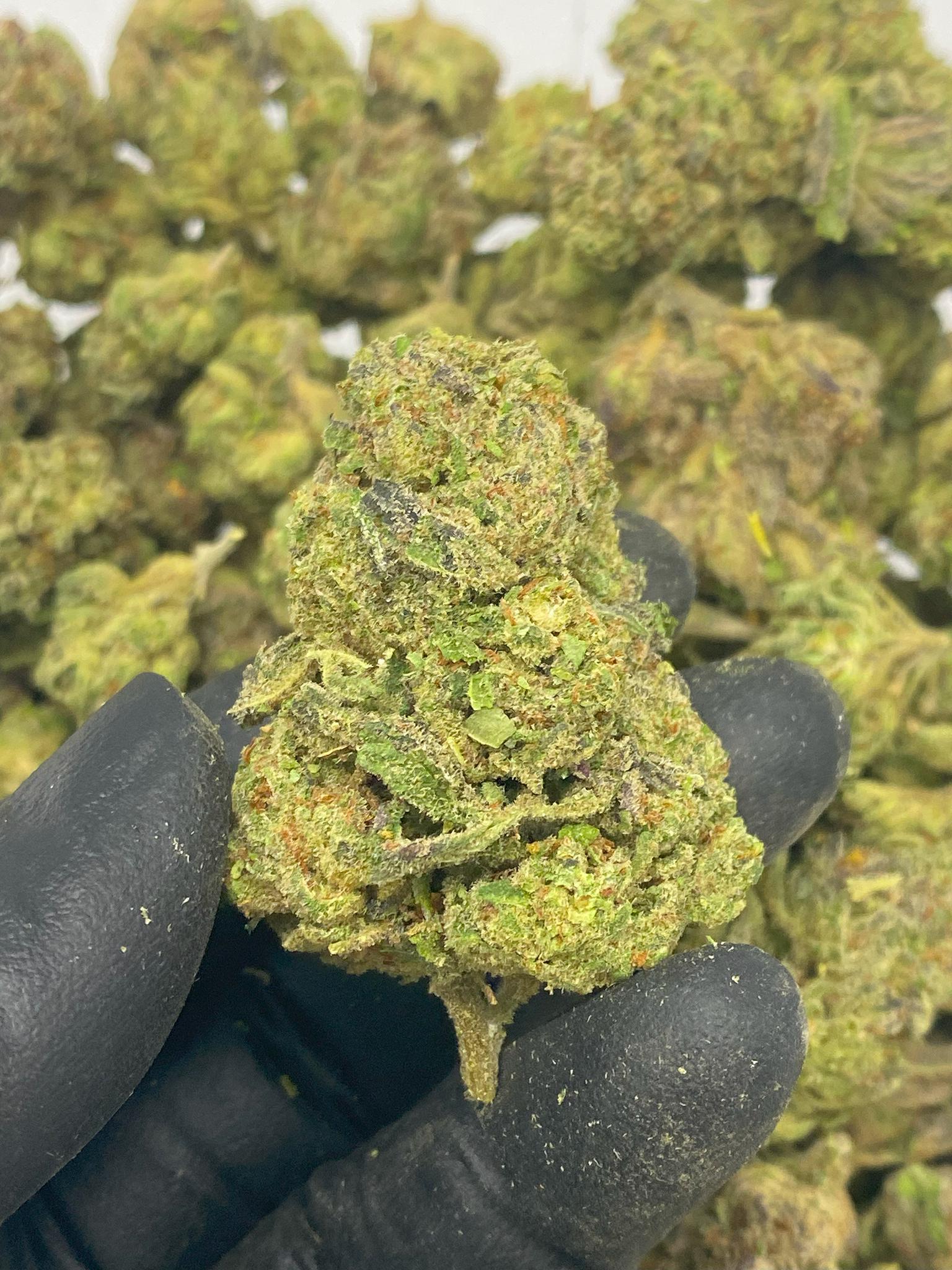 Blueberry Pancake THCa Flower
