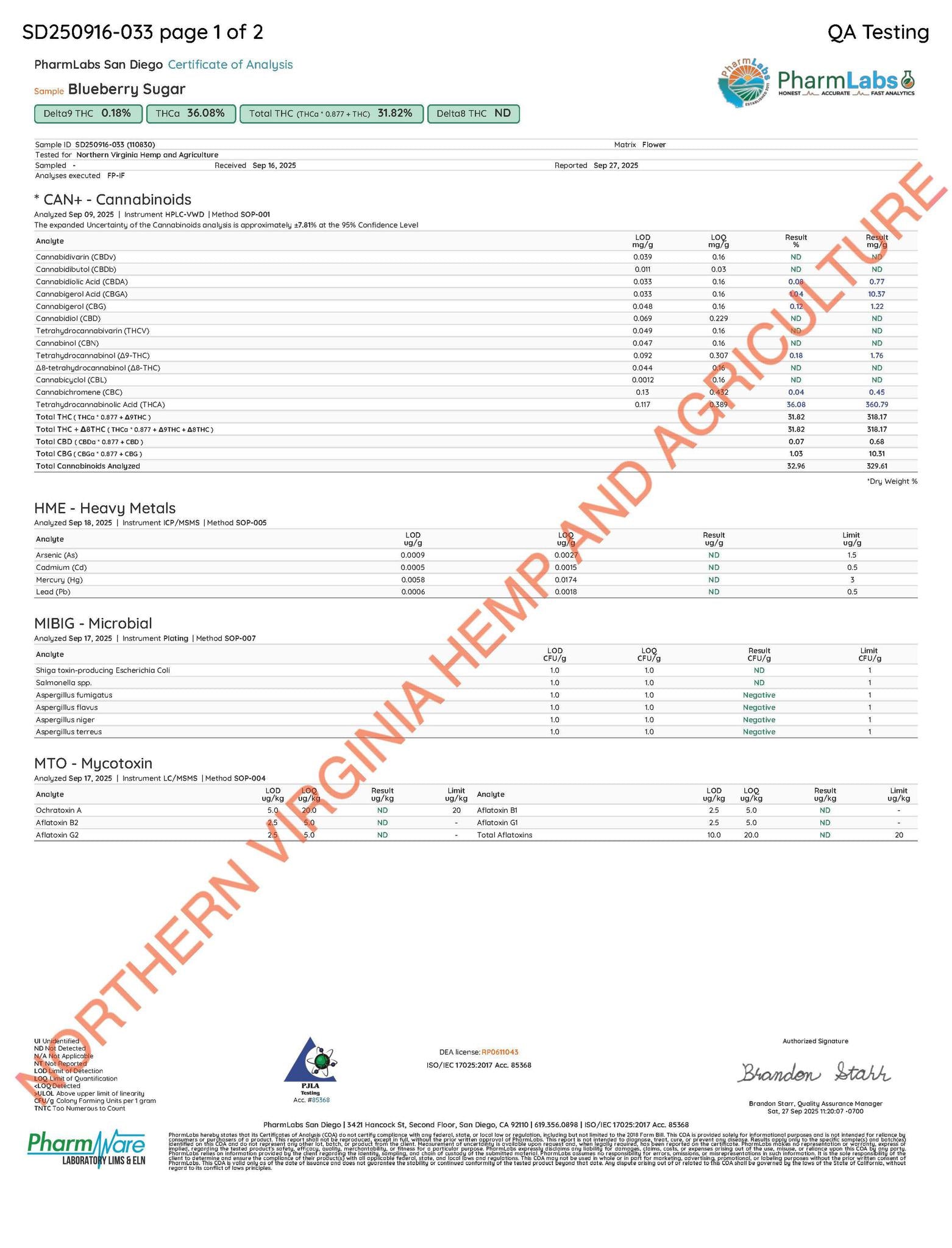 Blueberry Sugar THCa Flower