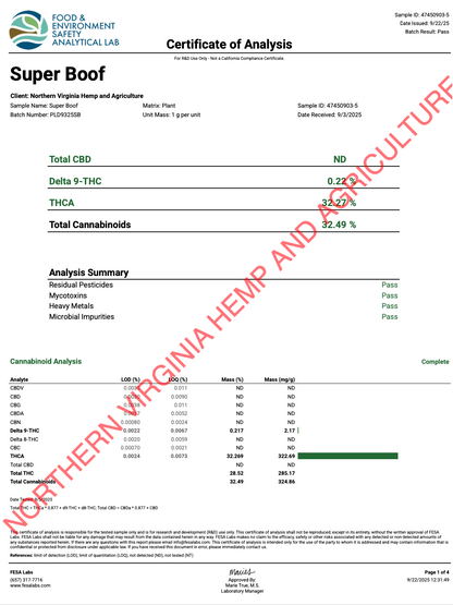 Super Boof THCa Flower