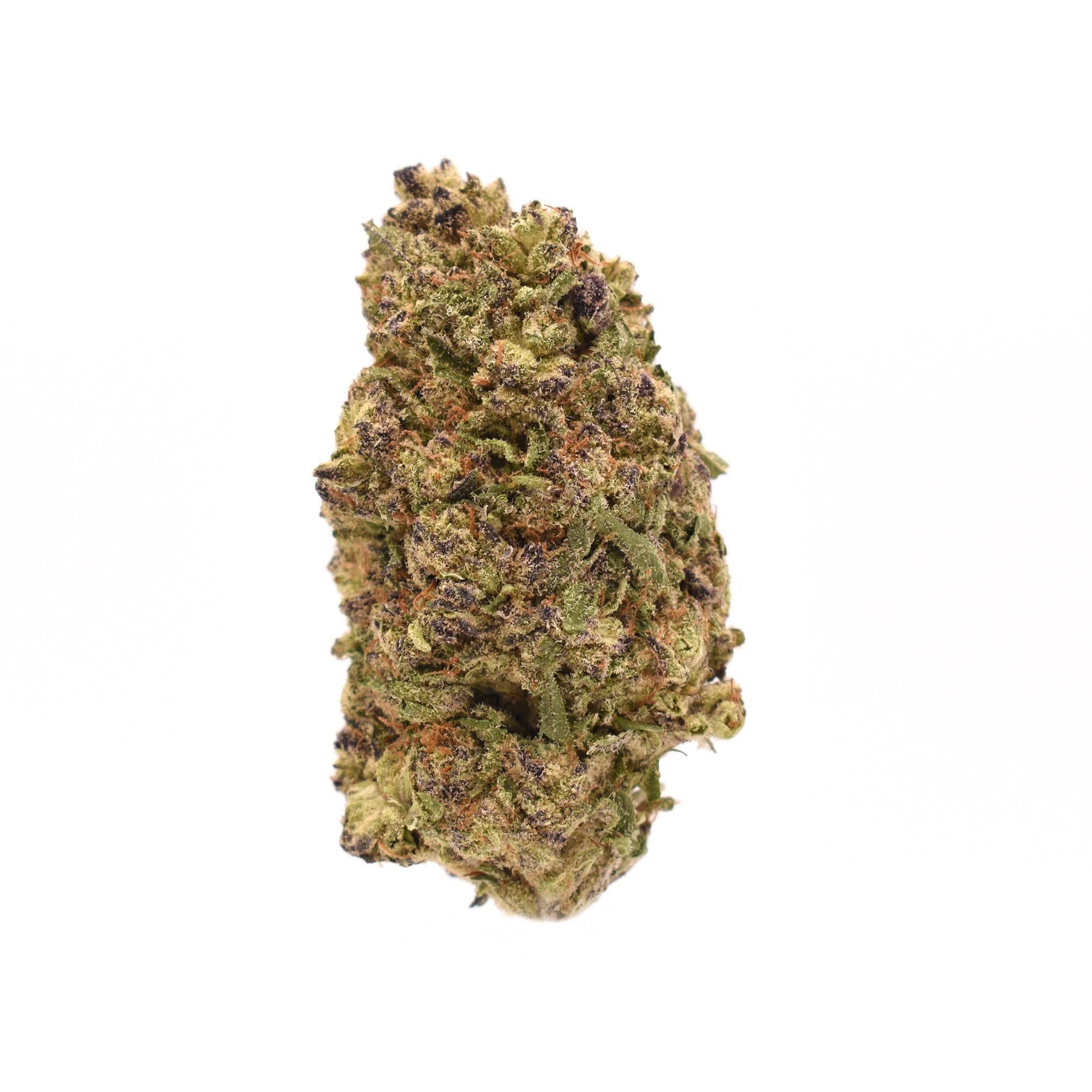 Lava Cake THCa flower dense green cannabis nug with purple accents and orange pistils