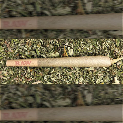 King Size "The Wife"