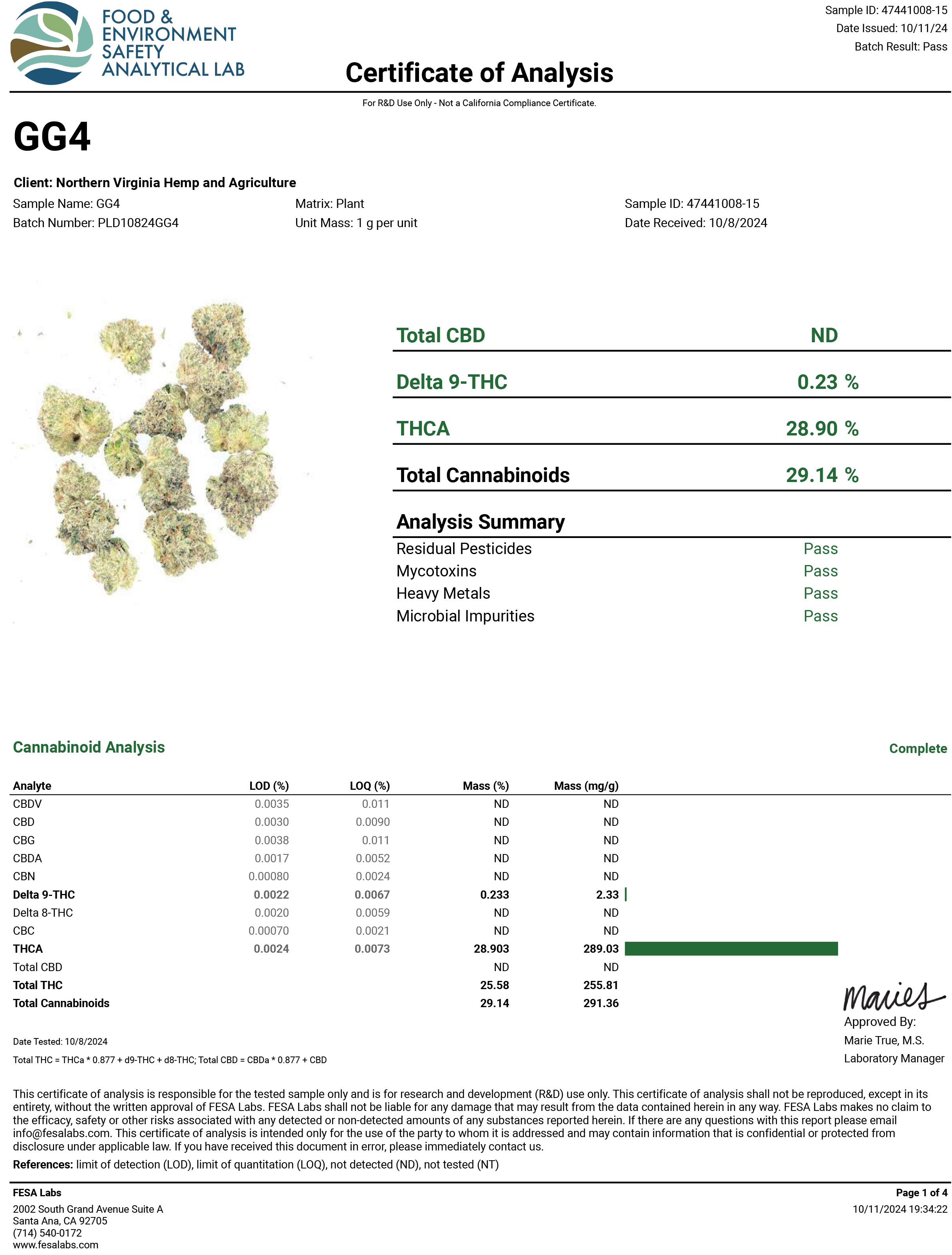 GG4 (Gorilla Glue #4) THCa Flower