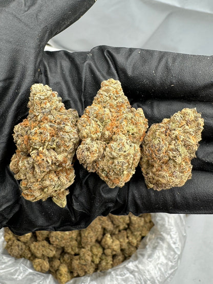 Hindu Kush Exotic THCa Flower