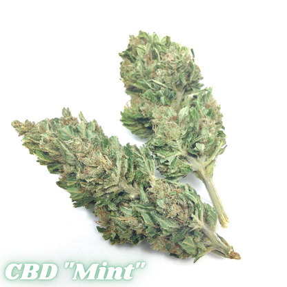 CBD Flower: Mint