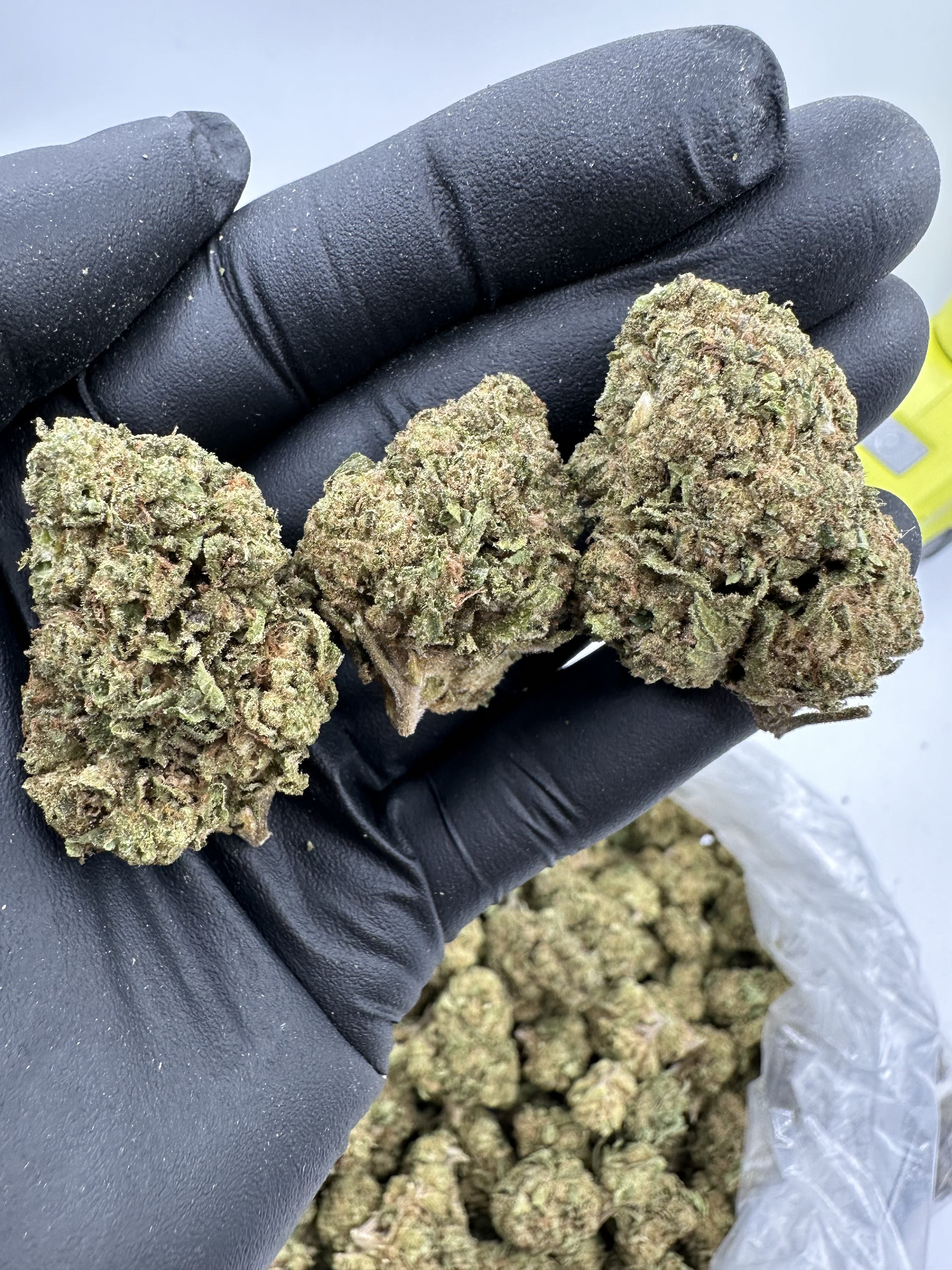 Jokerz Candy THCa Flower
