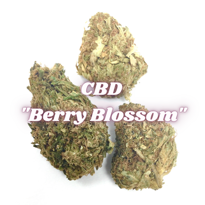 CBD Flower: Berry Blossom