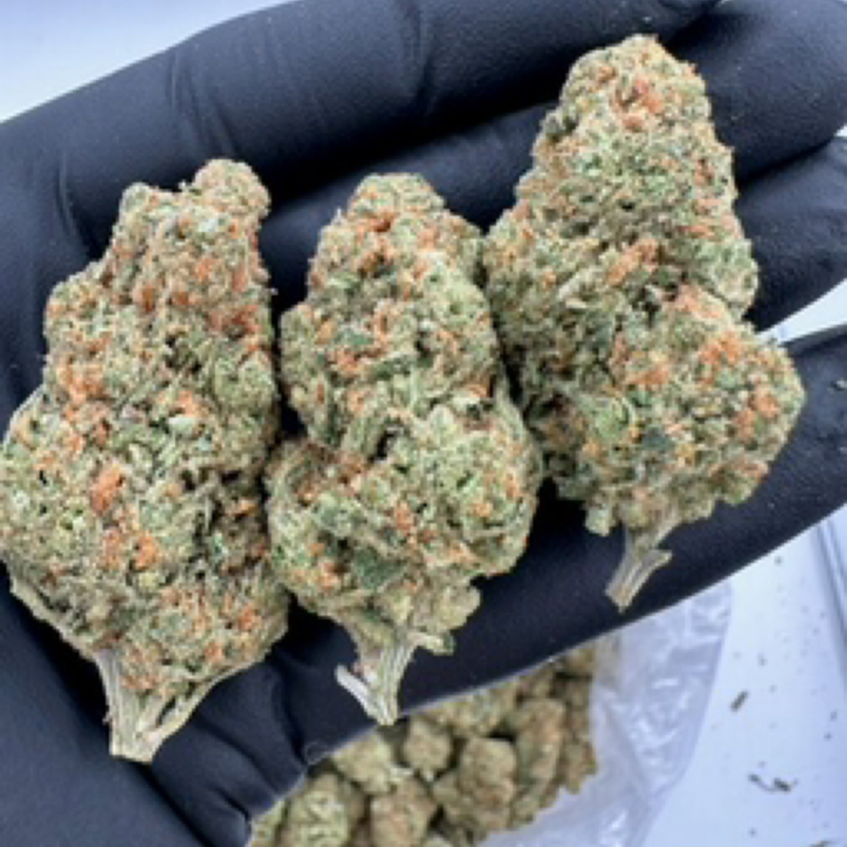 Amnesia Haze THCa Flower