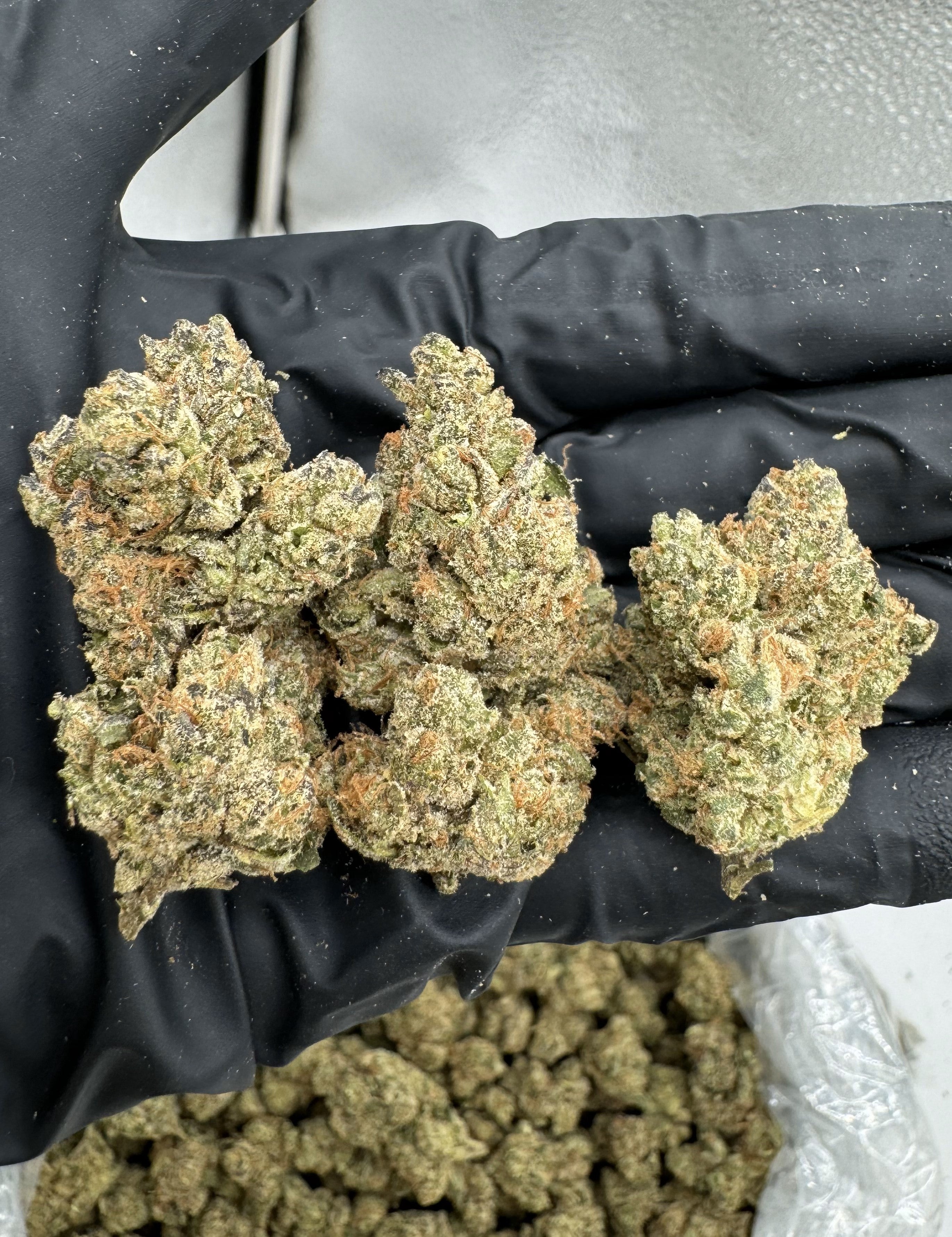 Alaskan Thunderfuck Exotic THCa Flower