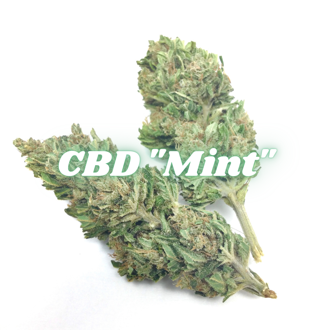 CBD Flower: Mint