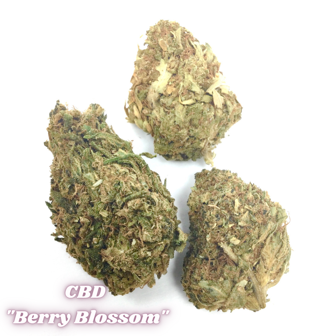 CBD Flower: Berry Blossom