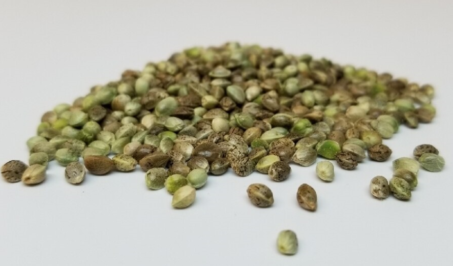 All-Natural Hemp Seeds (3lbs)
