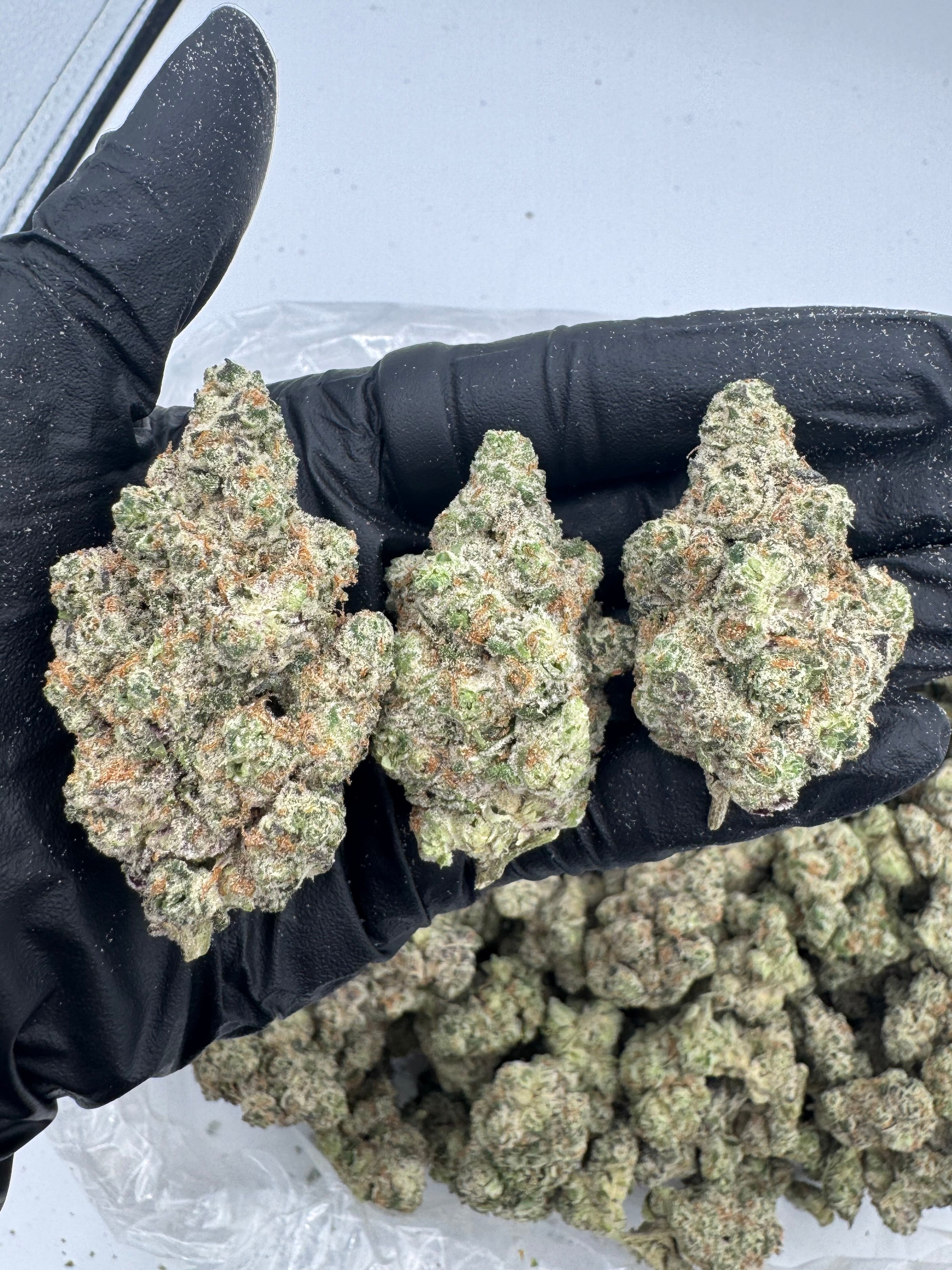 Afghan Exotic THCa Flower