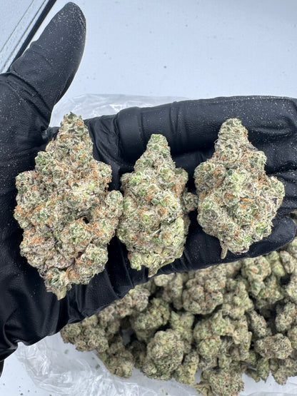 Afghan Exotic THCa Flower