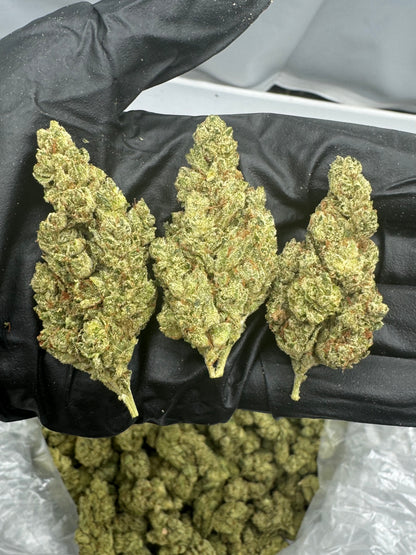 GG4 (Gorilla Glue #4) THCa Flower