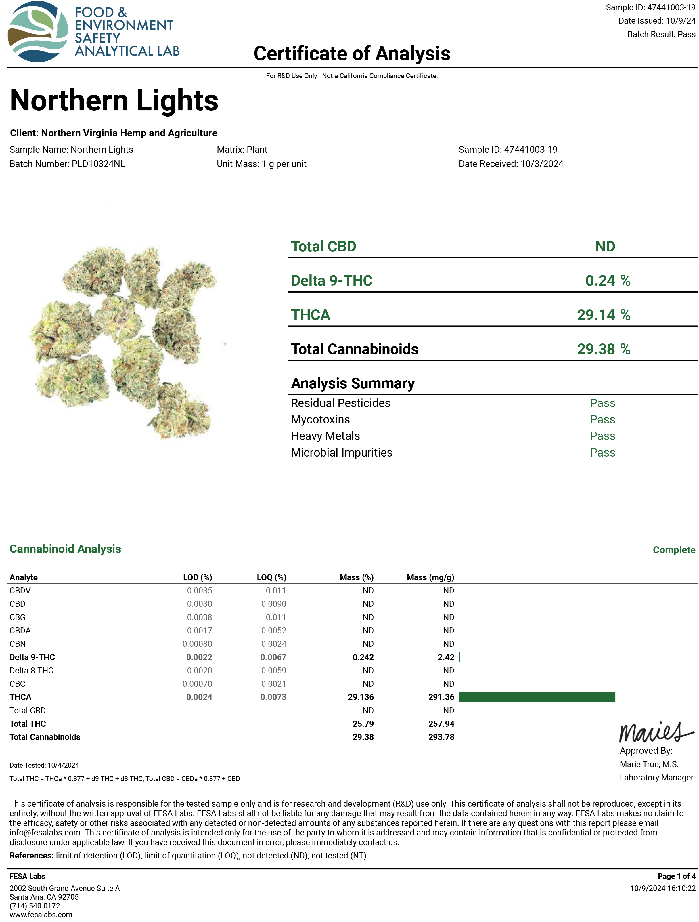 Northern Lights #5 Exotic THCA Flower