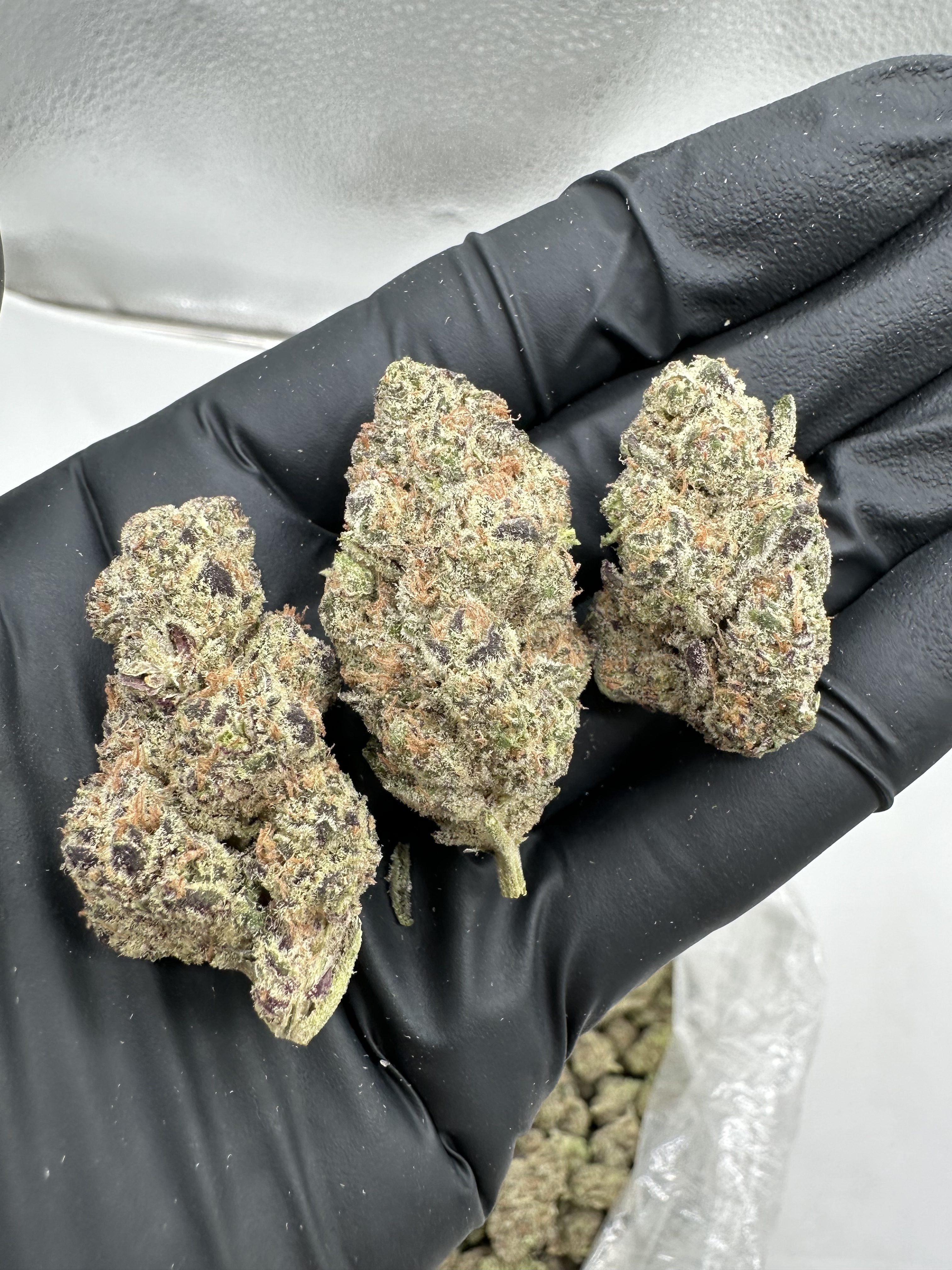 GovernMint Oasis Exotic THCa Flower